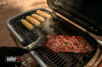 Газовый гриль Weber Traveler черный, 9010021